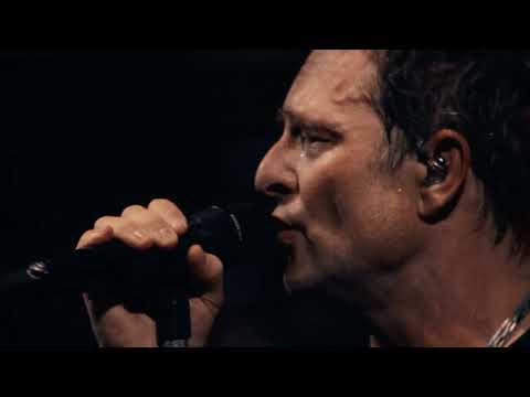 David Hallyday - Tu ne m'as pas laissé le temps (clip officiel)