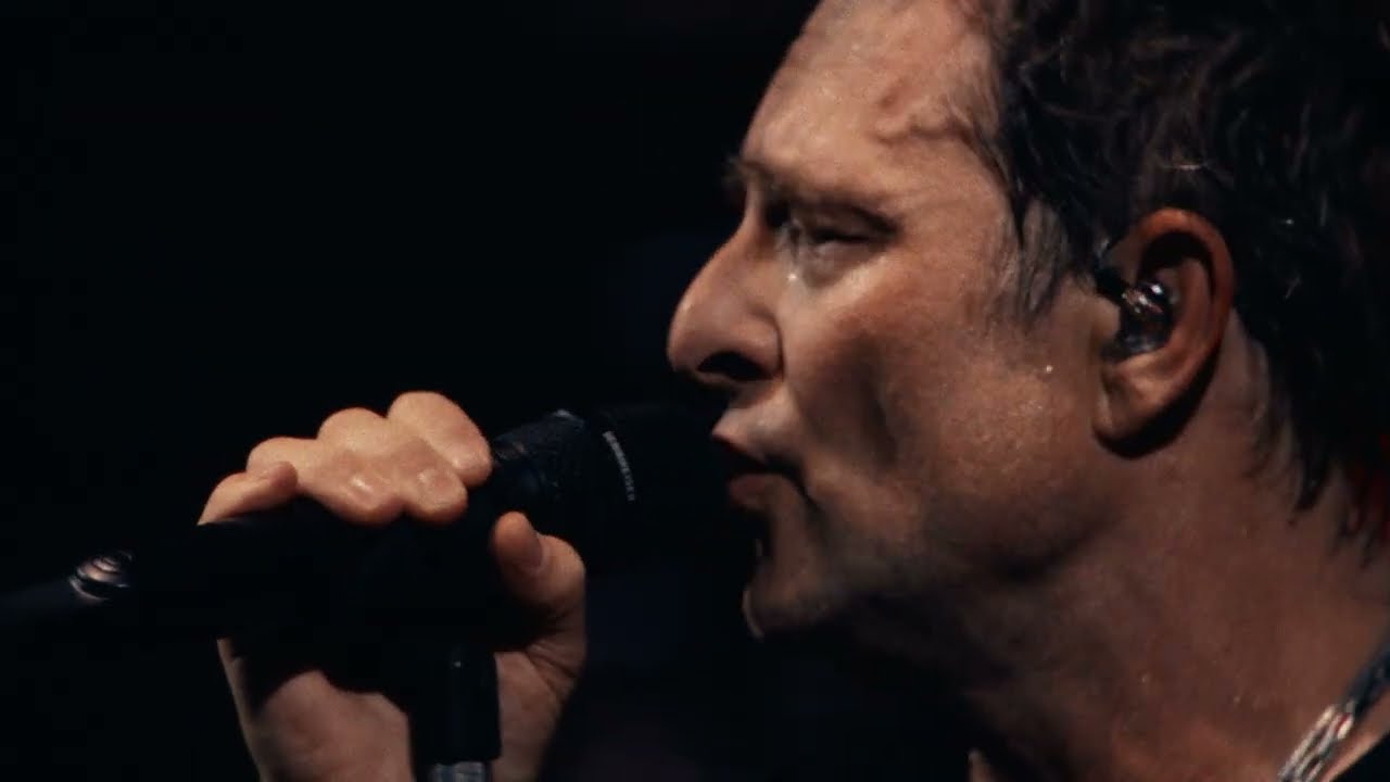 David Hallyday - Tu ne m'as pas laissé le temps 🎶 Clip Officiel + Réédition de l'album