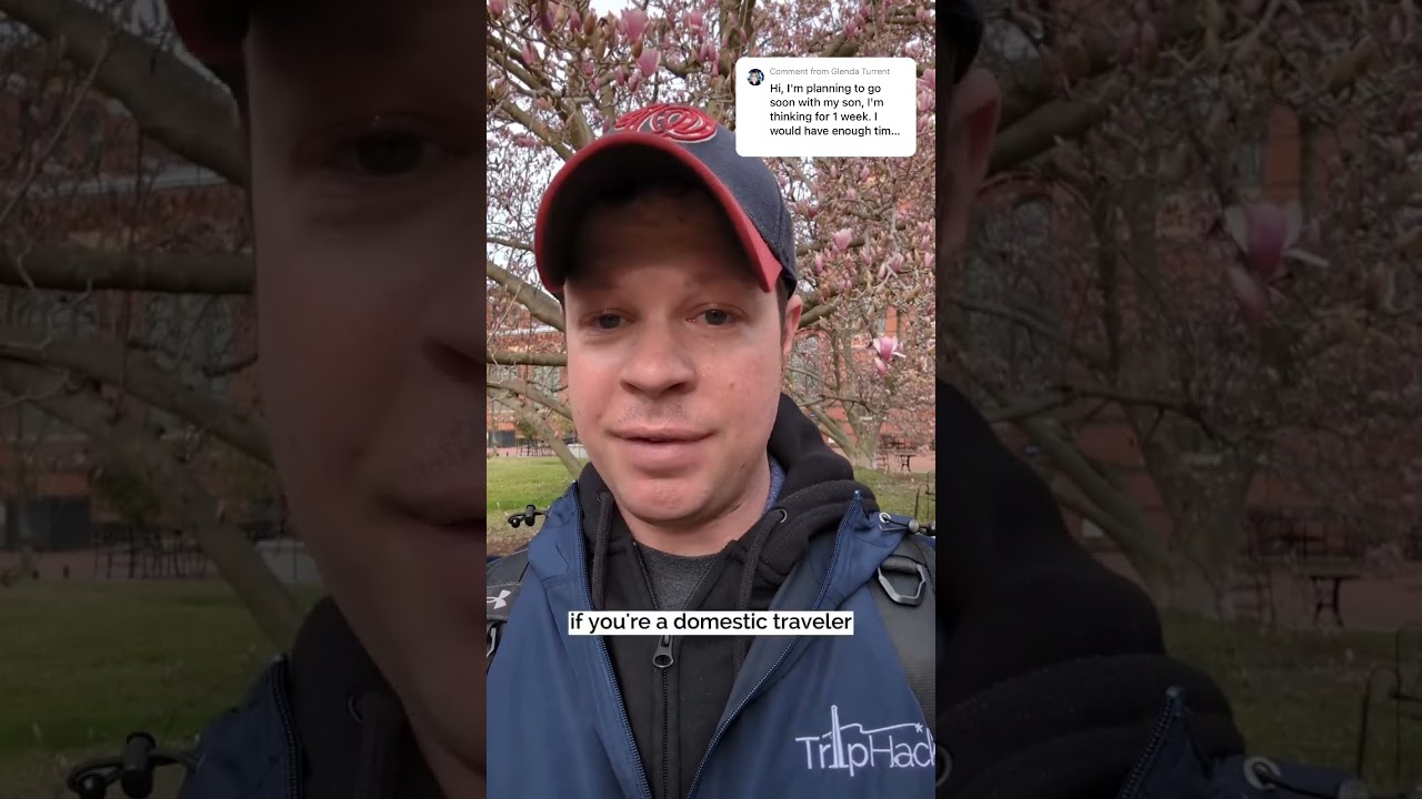 Optimal Days for a Washington, DC Trip 🏛️