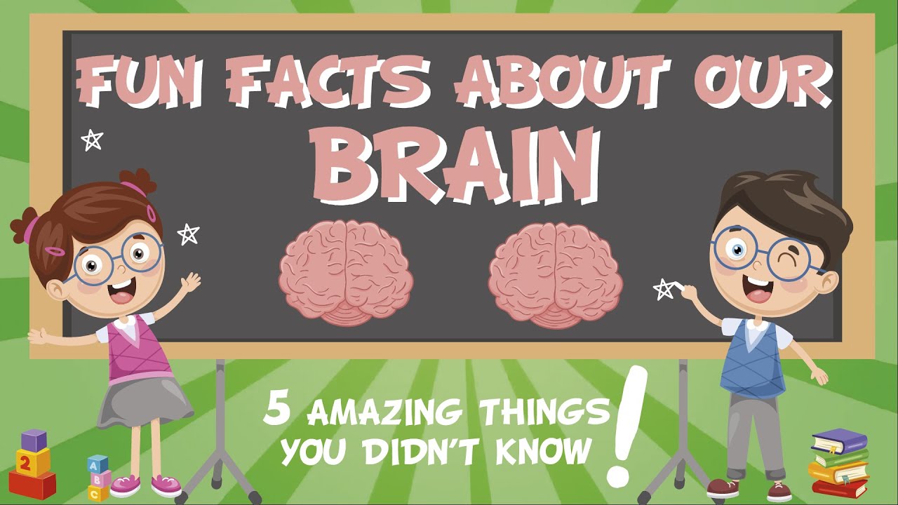 Amazing Brain Facts for Kids 🧠