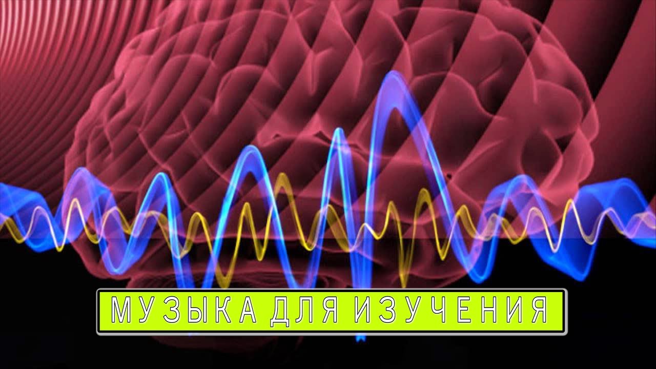 Белый шум для учебы и концентрации 🎧