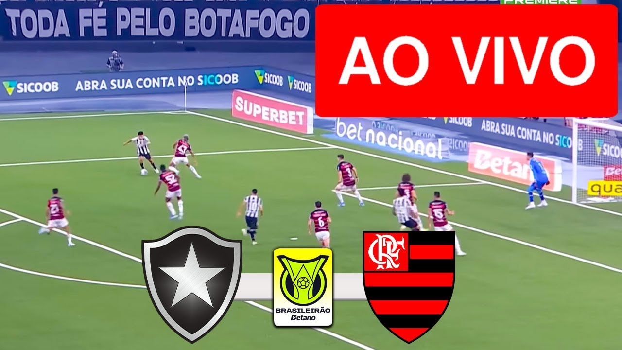 Botafogo x Flamengo AO VIVO - Campeonato 2025 ⚽