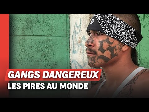 Salvador : au cœur de la guerre des gangs