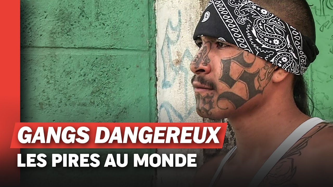 Salvador : Au Cœur de la Violence des Gangs 🎥