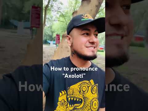 How to correctly pronounce Axolotl #nahuatl #axolotl #ajolote #mexico #pronunciation #pronunciacion
