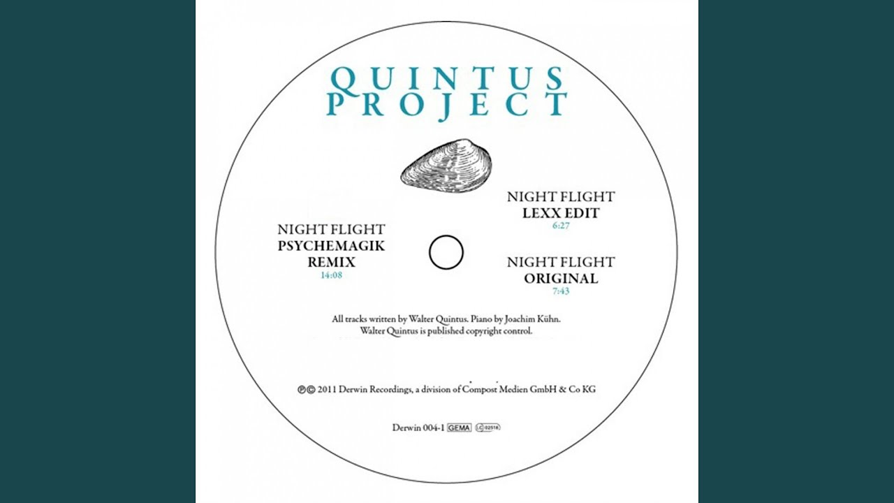 Night Flight by Quintus Project ✈️
