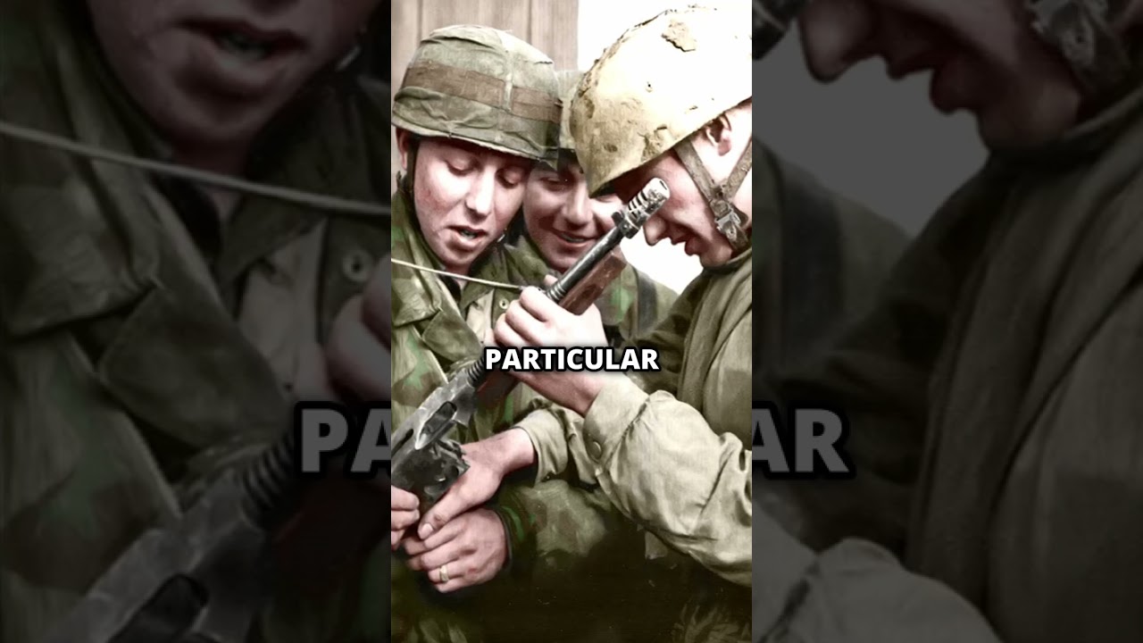 WW2 Loot: Key Weapons Germany Seized and Took from Allies 🇩🇪