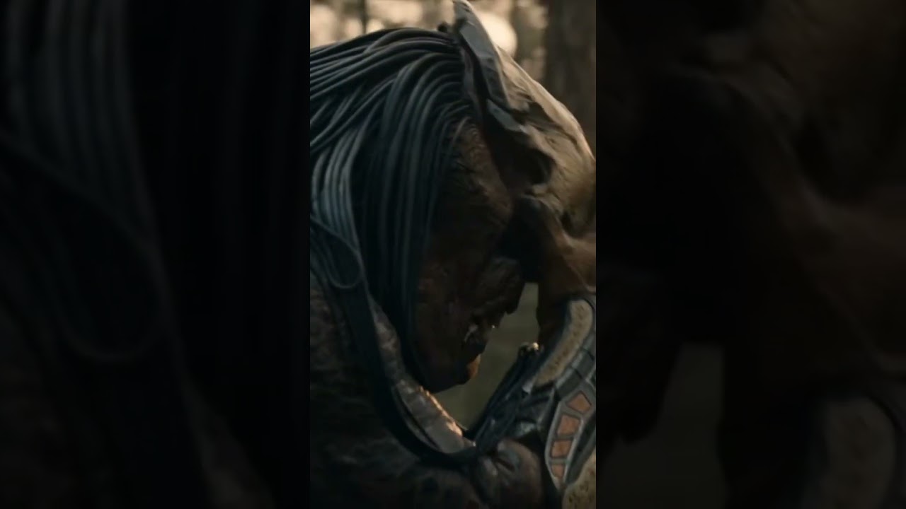 Predator Mask Up / Prey (2022) 🎭