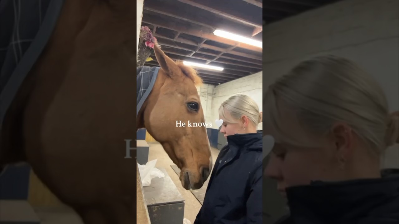 Her Horse Gave Her a Heartfelt Hug ❤️