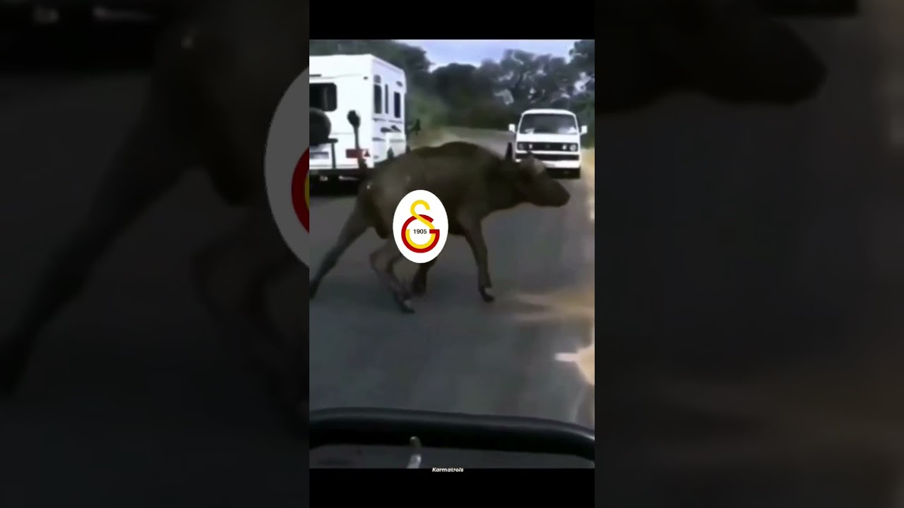 FB vs GS Derbi Maçları: En Heyecanlı Anlar! ⚽