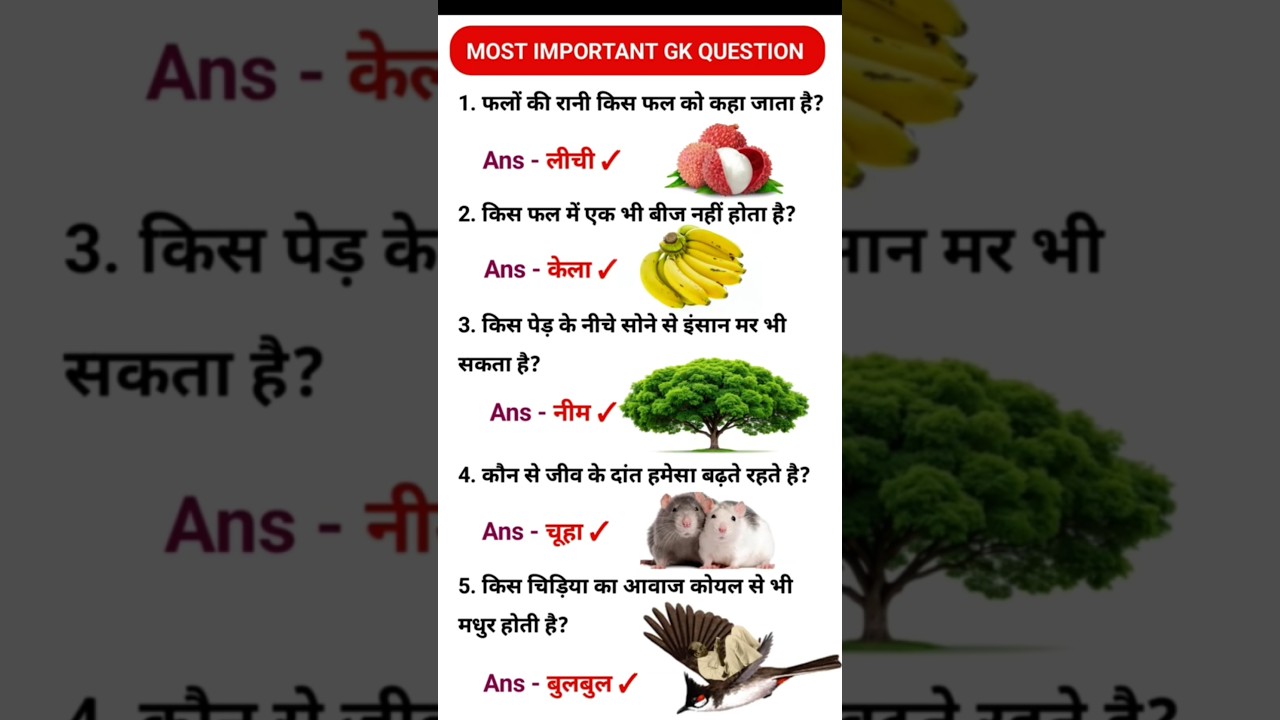 Hindi GK Quiz Questions | General Knowledge Test 🧠
