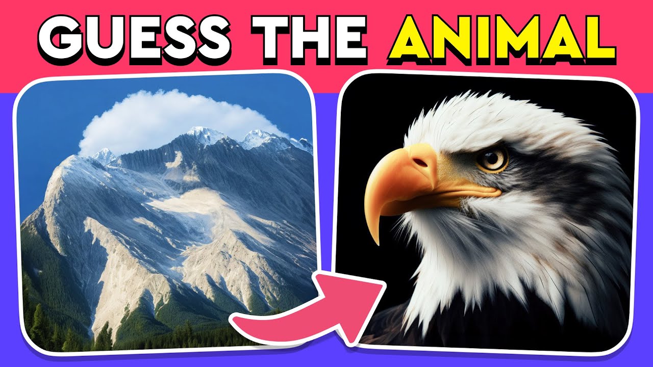 Can You Spot the Hidden Animal? 🐾 Fun Optical Illusion Quiz for All Levels