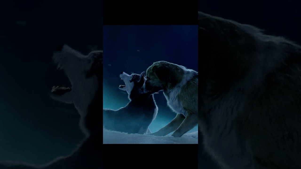 Buck Triumphs Over Spitz in The Call of the Wild 🐾