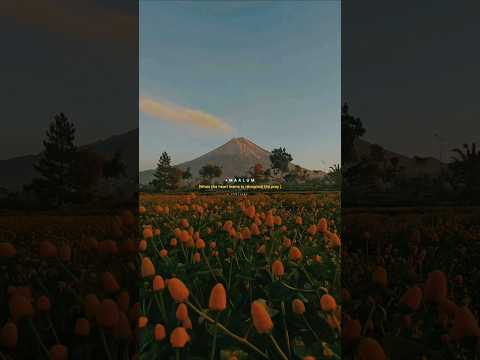 Atak gaya|Arijit Singh|Aesthetic lyrics Status|#hindisong #short #shorts