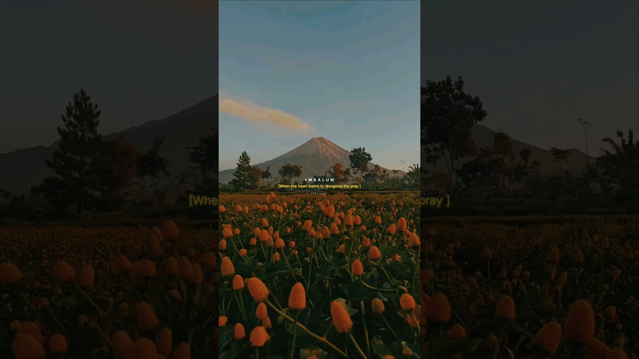 Atak Gaya - Arijit Singh | Aesthetic Lyrics 🎶