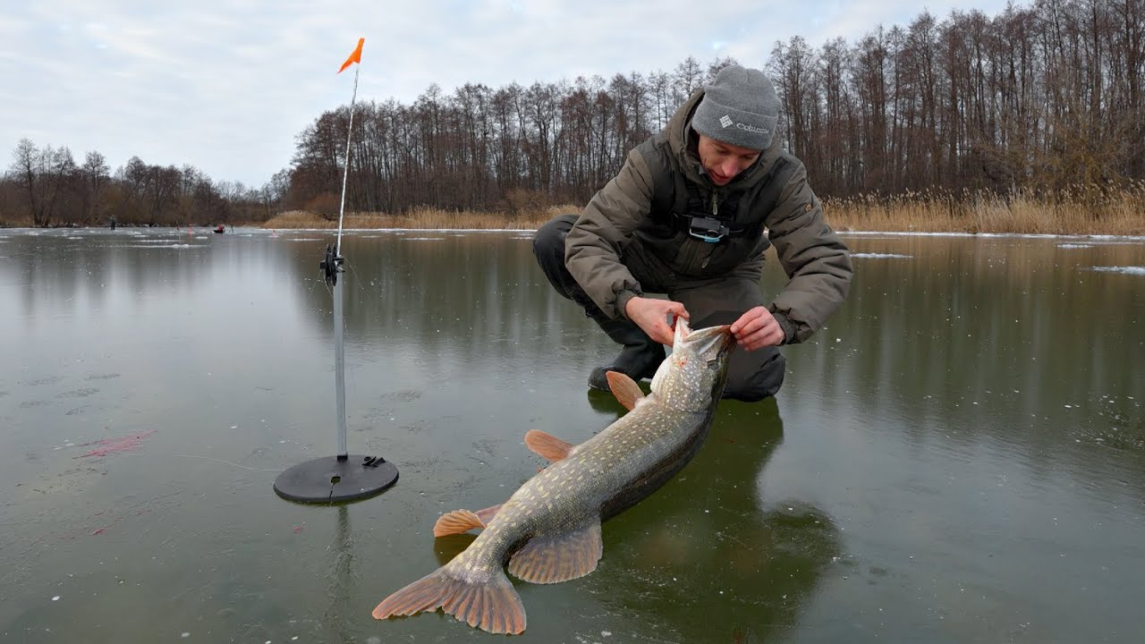 Ужасная щука-монстр на льду! 🔥 Невероятная рыбалка дома