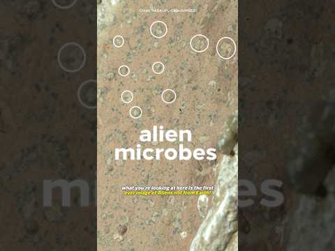 NASA may have just found life on Mars (not clickbait)