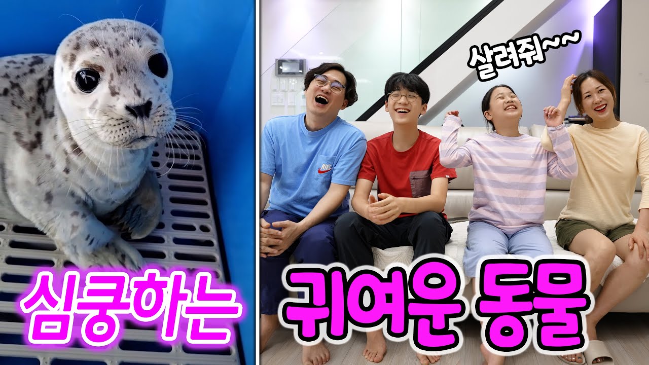 세상에서 가장 귀여운 동물들! 🥰