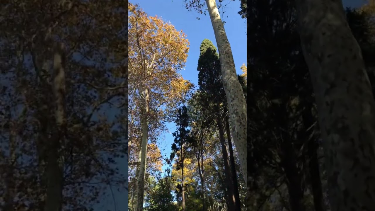 31 Spring Tips to Refresh Your Life 🌸