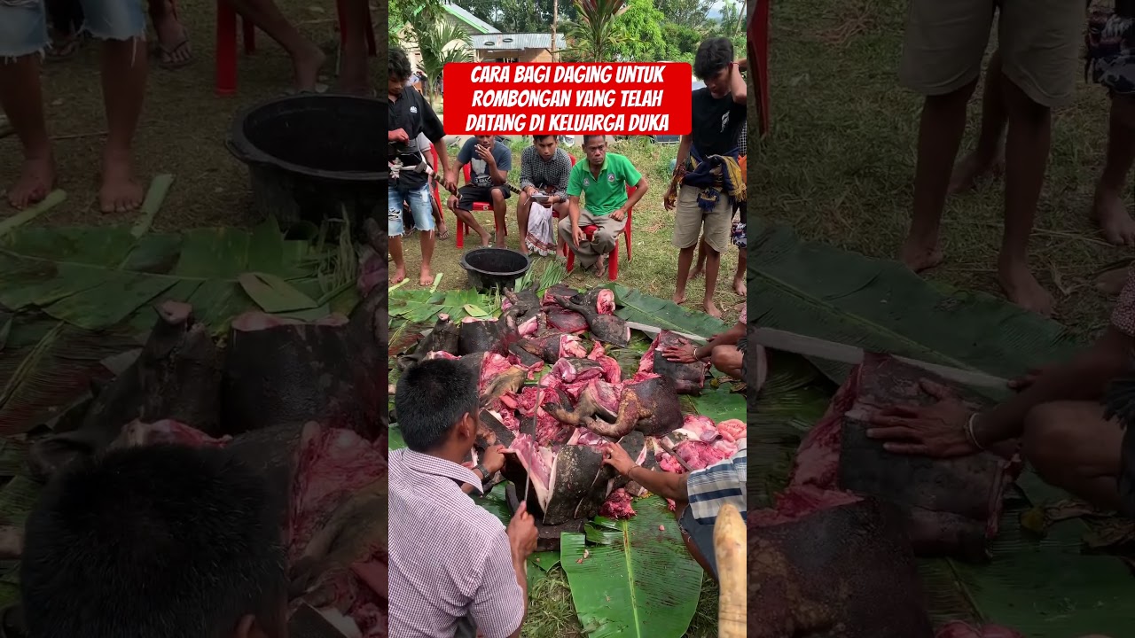 Budaya Sumba: Warisan Tradisional Indonesia 🌺