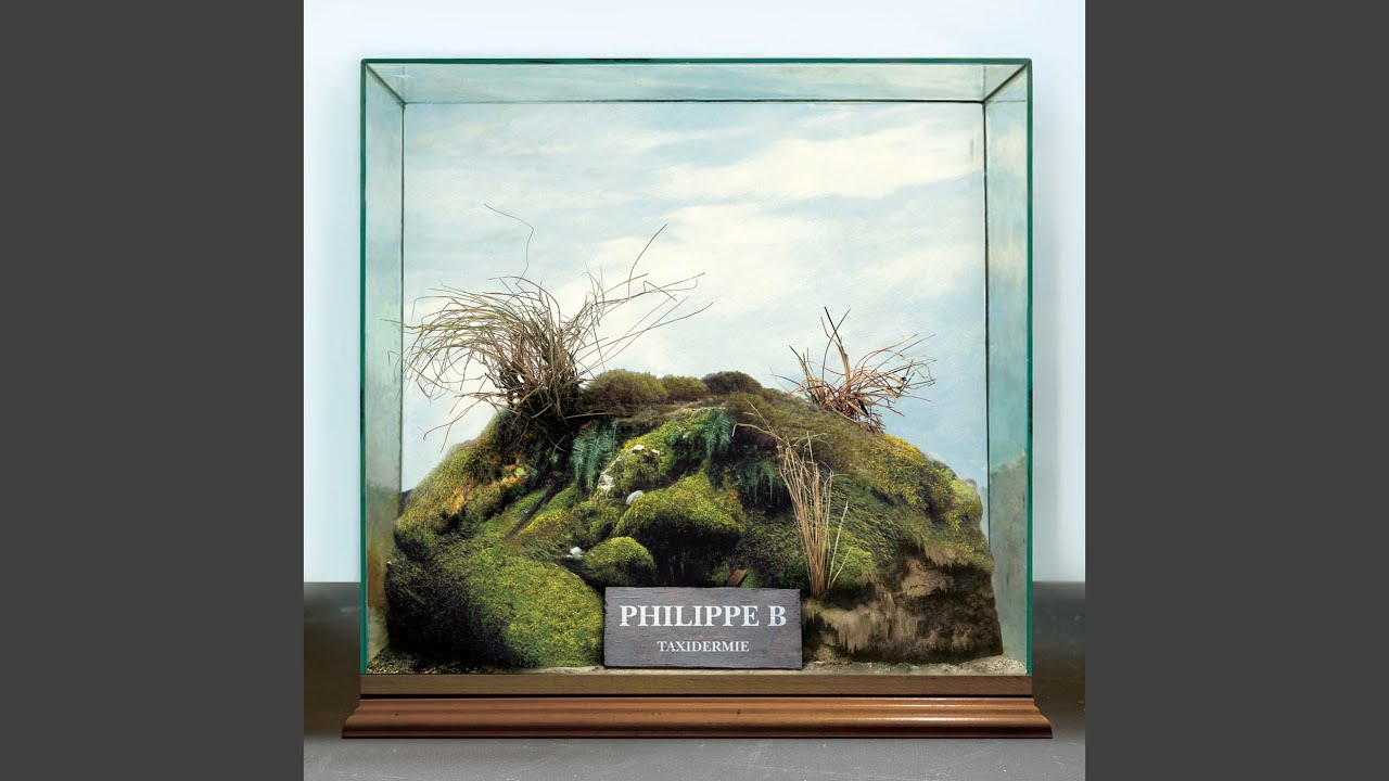 La Dérive des Continents – Philippe B's Captivating Track 🌍