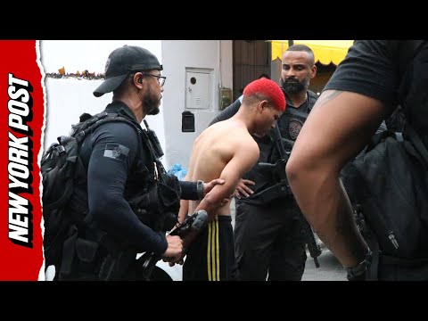 Large-Scale Police Operation Targets Brazilian Gang, Results in 81 Arrests and 64 Fatalities