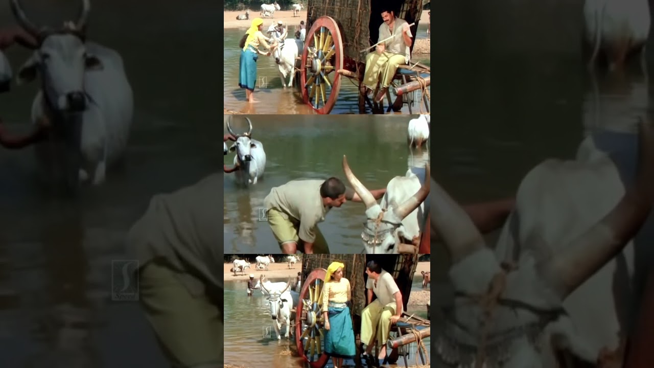 1921 Movie: Mammootty's Powerful Performance & Classic Story 🎬