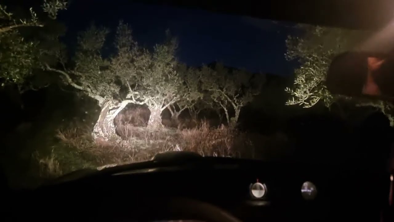 ¡Buenos días! Hoy es día de aceitunas 🫒 Descubre las ventajas de ser miembro