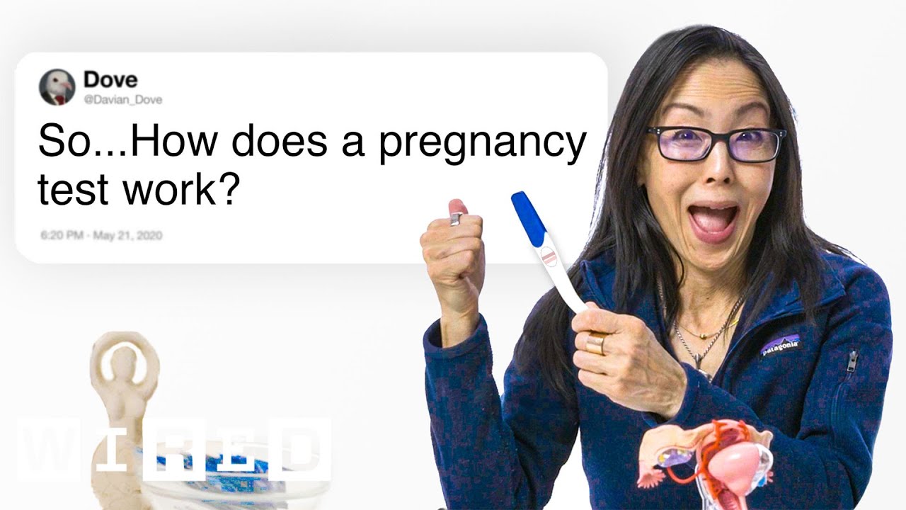 Fertility Expert Answers Twitter Questions 🤔