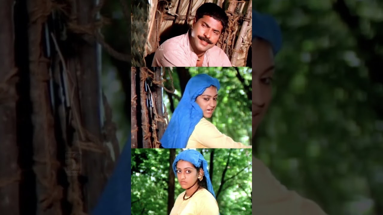 ഖാദർക്കാ.. ഞമ്മള് ഈ തണ്ടിന്മേൽ കുത്തിരുന്നോളാം! | Mammootty, Parvathi Jayaram | 1921 Movie Highlights 🎬