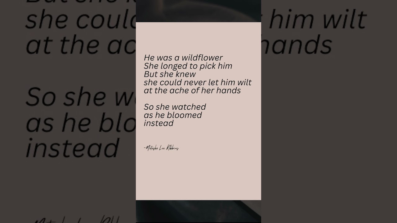 Discover the Beauty of Modern Poetry with Natasha Lee ✨