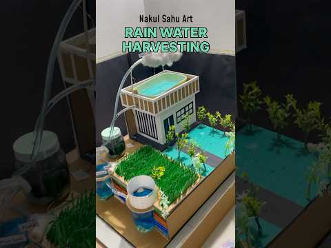 Rain Water Harvesting Model Working model #science #schoolproject #youtubeshorts