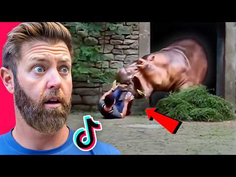 Wildlife Expert Reacts to TikTok's Worst Animal Attacks