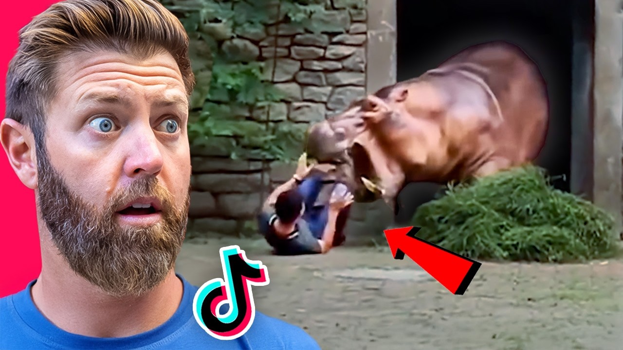 Wildlife Expert Analyzes TikTok's Most Shocking Animal Attacks