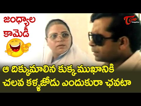 Jandhyala Ultimate Comedy Scenes Back to Back | Part 1 | Hilarious Telugu Comedy Scenes | TeluguOne