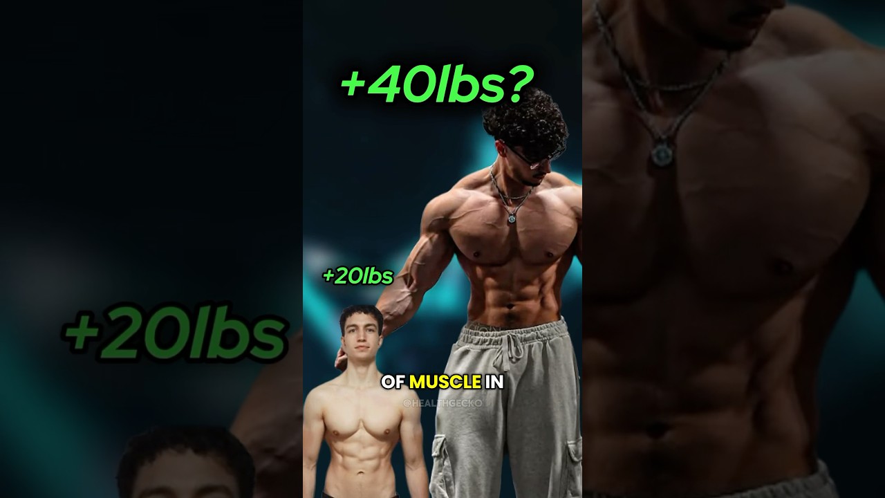 Muscle Gains for New Lifters in First Year 💪