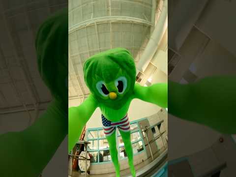 First place cause I'm always No.1 🥱#owlympics #duolingo #sports #swimming