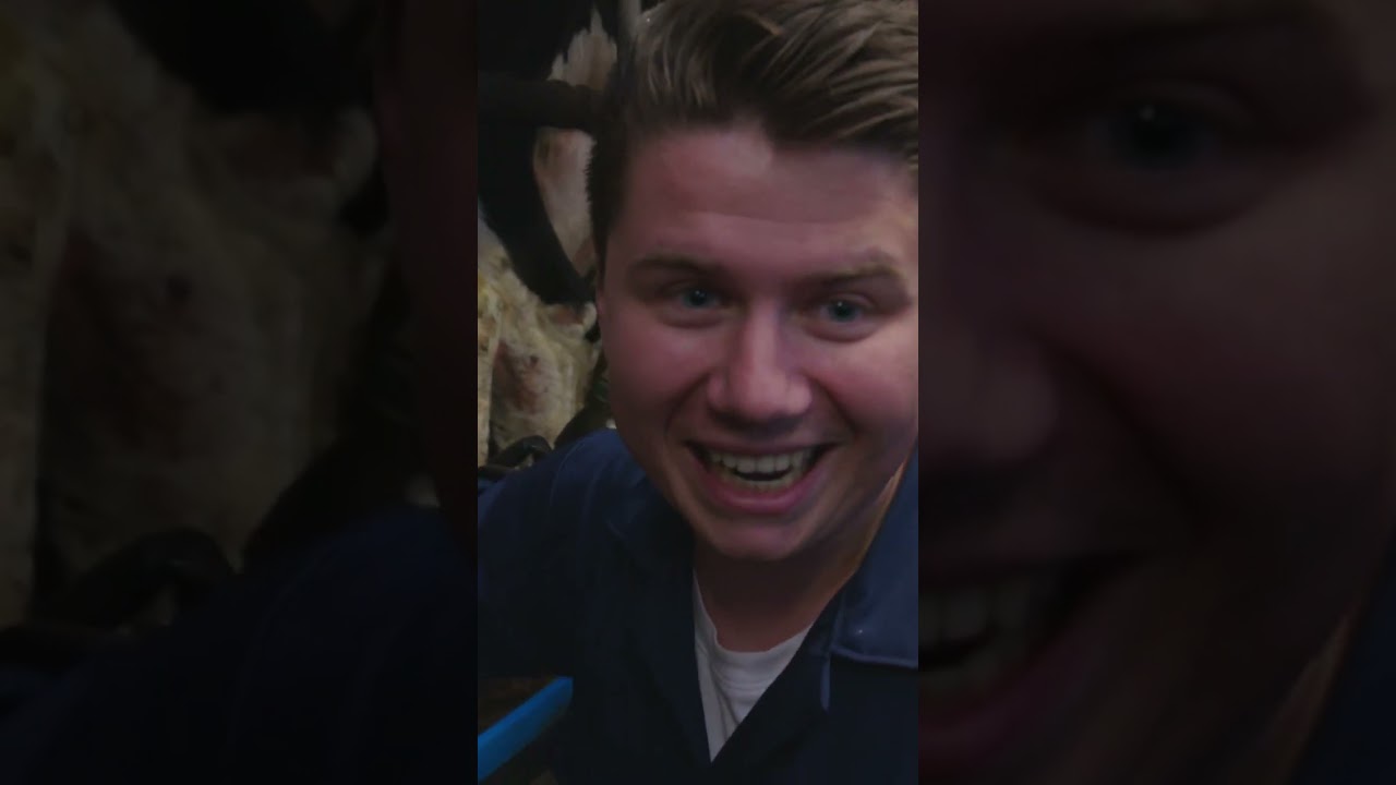 Dylan Melks Koe 🐄 | 538 Shorts