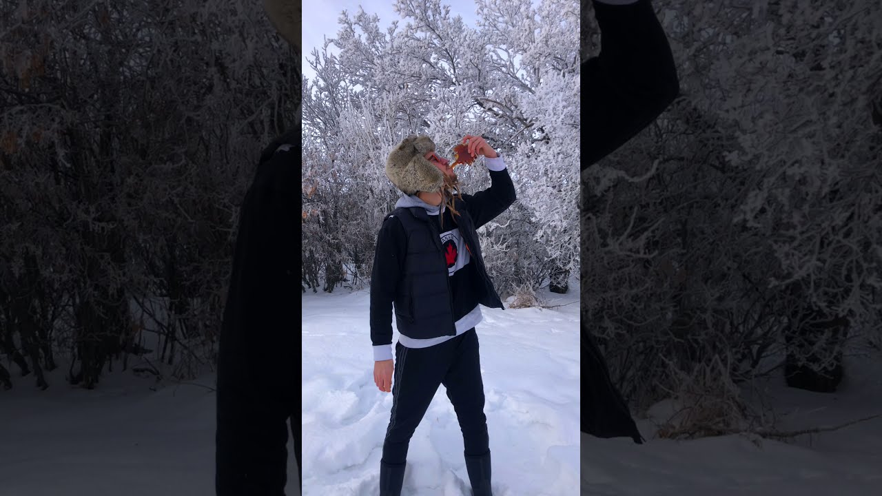 All Star Canadian Remix by Smash Mouth 🇨🇦