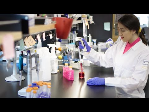 Providing Opportunities: How CIRM is Building a Legacy of Next Gen Scientists