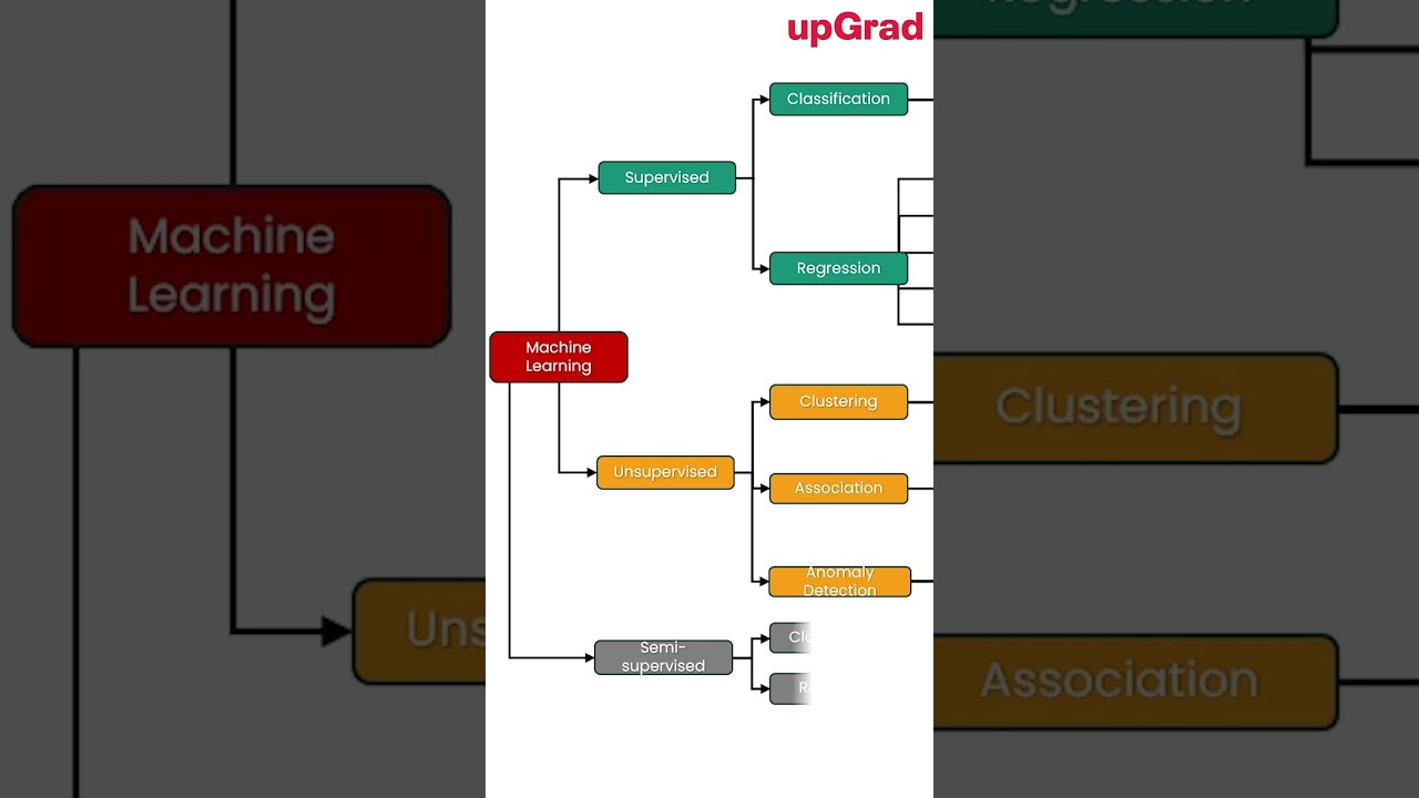 Understanding Machine Learning Algorithms Through Decision Trees 🌳