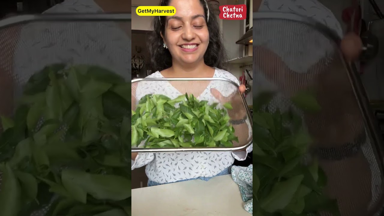 Long-term Storage Tips for Curry Leaves 🌿