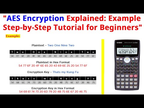 AES Algorithm in Cryptography in Bangla || AES Algorithm Example- 2024