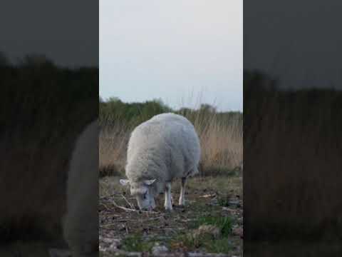 2229 Understanding 2229 51424: A Code or Number