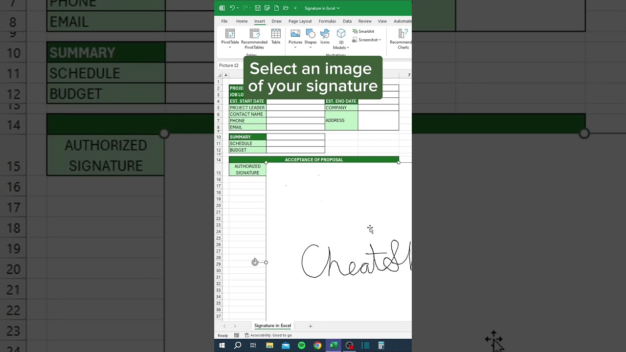 Signature in Excel‼️ #excel