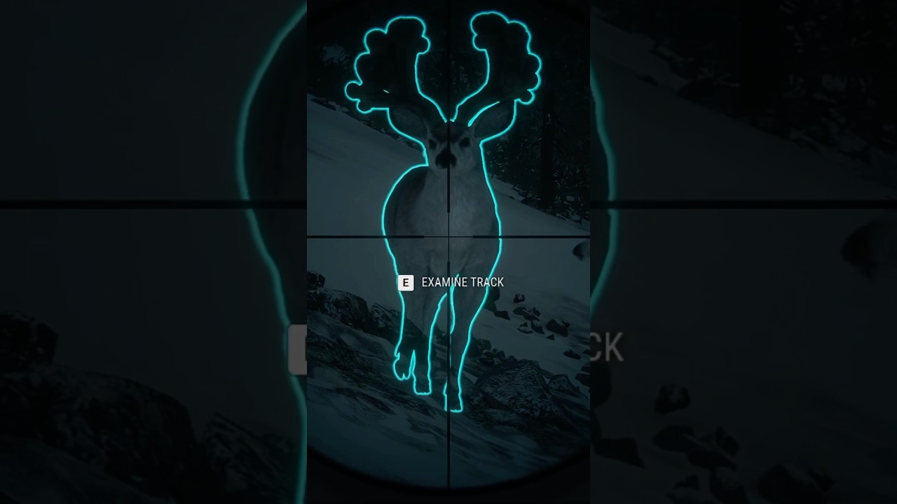 12 GA Slugs vs Great One Mulie 🦌