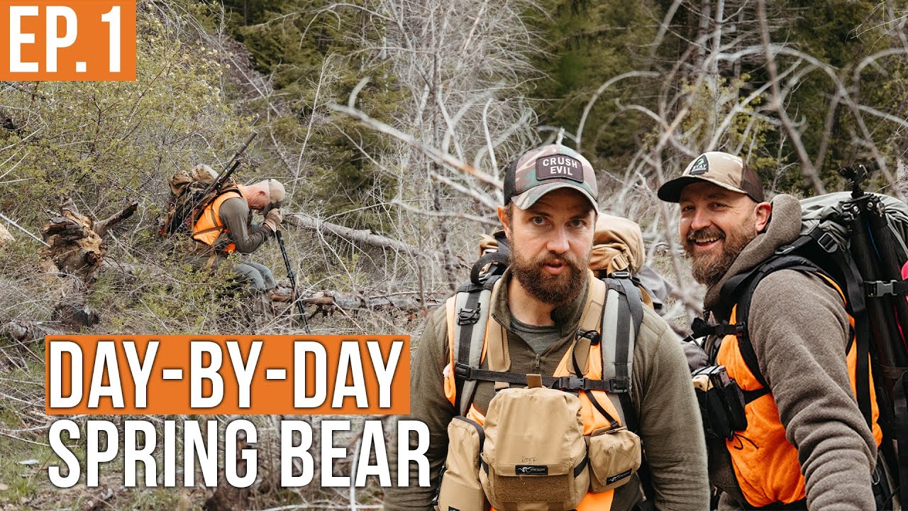 Montana Backcountry Black Bear Hunt | Epic Adventure with Llamas 🐻