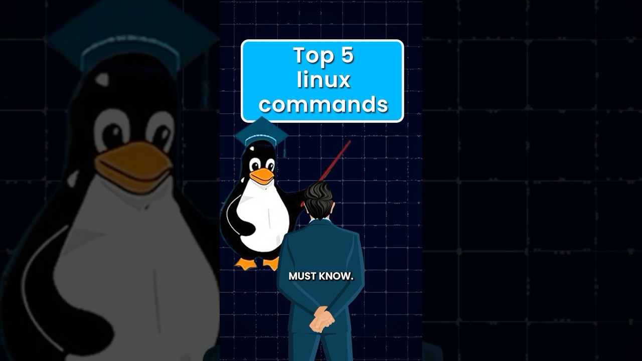 Top 5 Essential Linux Commands
