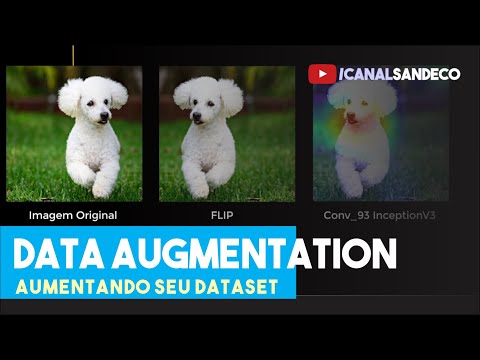 Data Augmentation