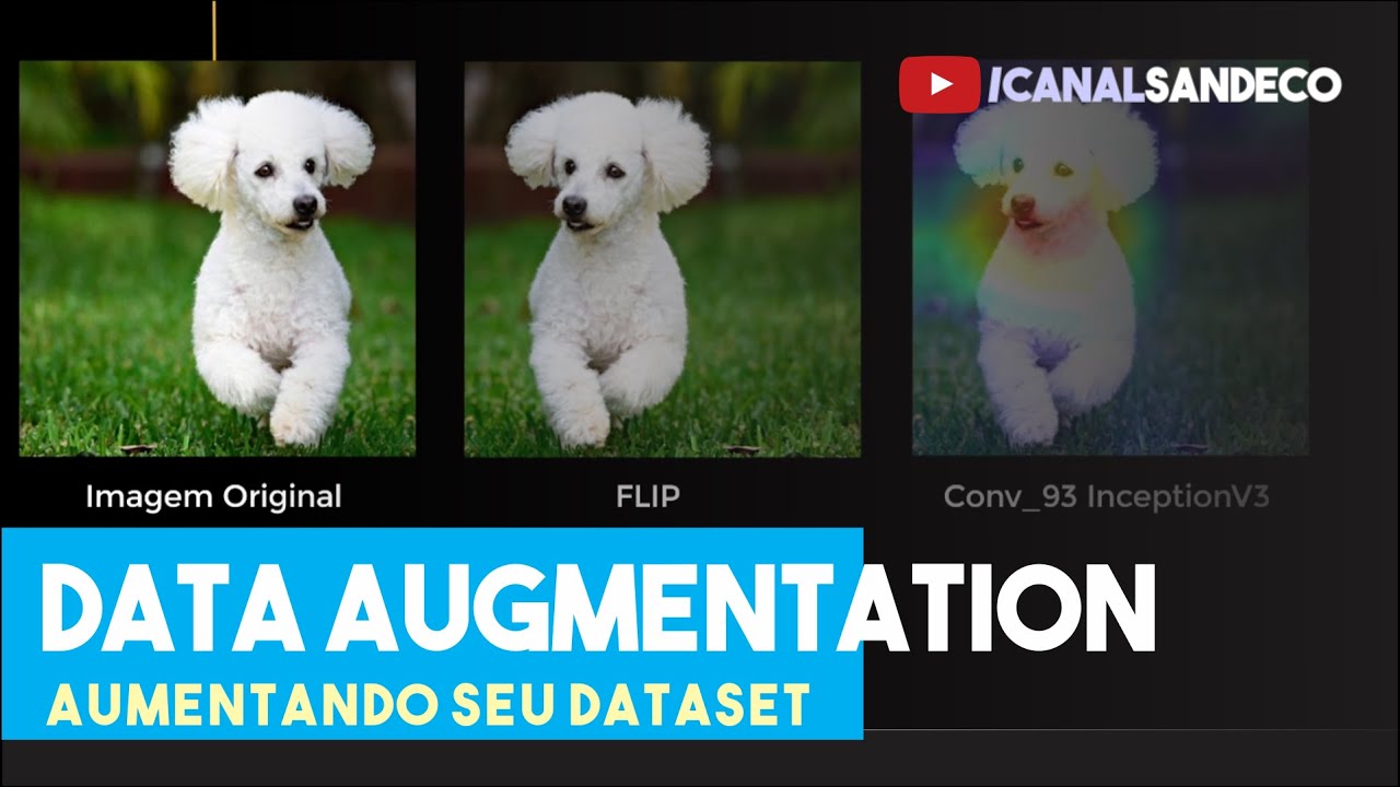 Data Augmentation: Como Expandir Seu Conjunto de Dados 📊